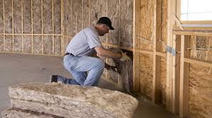 Best Wall Insulation Installation  in Naranja, FL