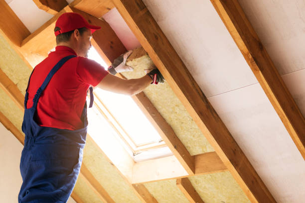 Best Basement Insulation  in Naranja, FL